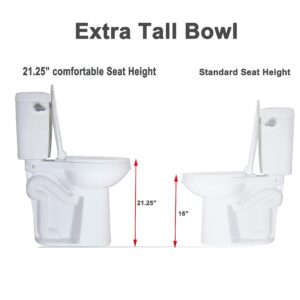 WinZo WZ5888 Elongated Two Piece Toilet with Extra Tall Bowl 21.25” Comfortable 1.28 GPF Side Flush White