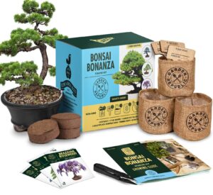 bonsai tree seed starter kit - mini bonsai plant growing kit, 3 types of seeds, potting soil, pots, pruning shears scissor tool, plant markers, wood gift box, fathers day gardening gifts ideas