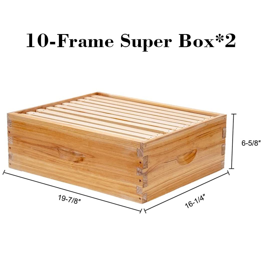 BeeCastle 10 Frame Langstroth Bee Hive Coated with 100% Beeswax Includes Beehive Frames and Waxed Foundations (2 Deep Boxes & 2 Medium Boxes)