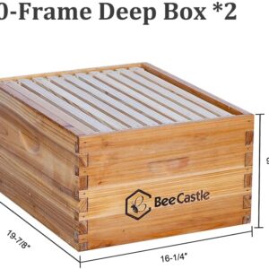 BeeCastle 10 Frame Langstroth Bee Hive Coated with 100% Beeswax Includes Beehive Frames and Waxed Foundations (2 Deep Boxes & 2 Medium Boxes)