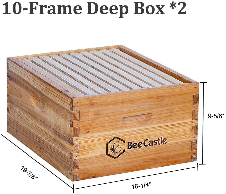 BeeCastle 10 Frame Langstroth Bee Hive Coated with 100% Beeswax Includes Beehive Frames and Waxed Foundations (2 Deep Boxes & 2 Medium Boxes)