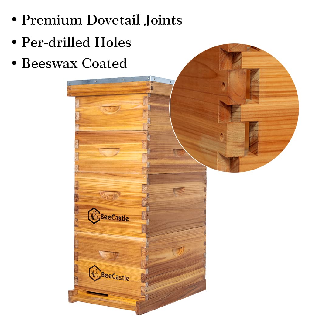 BeeCastle 10 Frame Langstroth Bee Hive Coated with 100% Beeswax Includes Beehive Frames and Waxed Foundations (2 Deep Boxes & 2 Medium Boxes)