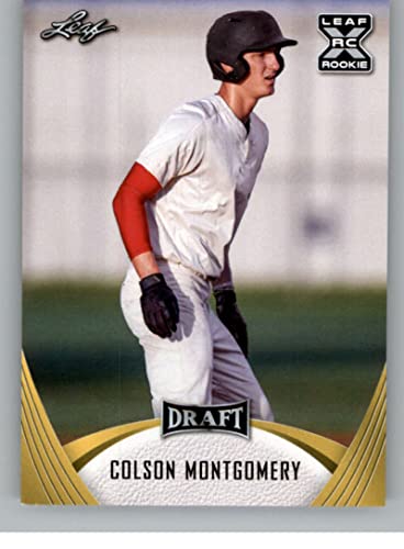 2021 Leaf Draft Gold #25 Colson Montgomery XRC RC Rookie RC Rookie Baseball Trading Card
