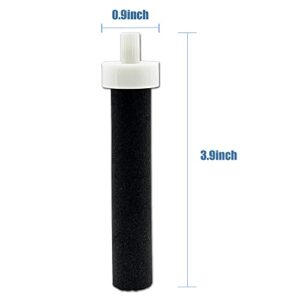 Xcivi Replacement Activated Carbon Water Bottle Filter for Brita BB06, Brita Hard Sided, Sport and Stainless Steel Bottle Filter, 10 Count