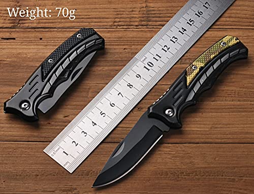 Pocket Knife, Mini Folding Knife| Outdoor Knife, with Key Chain, for Leisure, Camping, Hiking, Picnic, Hunting and Emergencies, Gift for Men (Black)