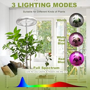 CreaCity Grow Light, Full Spectrum 72 LED Plant Light for Large Indoor Plants, Height Adjustable Growing Lamp with Auto On/Off Timer 3/9/12H