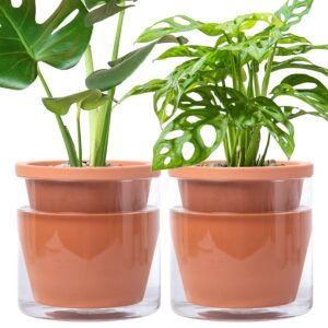 d'vine dev 6 inch design self watering pot for indoor plants, terracotta planter with cylinder glass cup, set of 2, 372-b-2