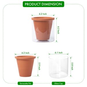 D'vine Dev 6 Inch Design Self Watering Pot for Indoor Plants, Terracotta Planter with Cylinder Glass Cup, Set of 2, 372-B-2