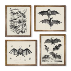 whimsigothic bats wall art decor - gifts for vampire fans - vintage goth gothic wall decorations - dark academia pictures - creepy bat horror spooky posters - medieval pagan wicca hipster zombie art