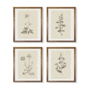 vintage botanical plant wall art prints - neutral boho minimalist flower floral posters picture for bathroom, kitchen, home office - beige french counry farmhouse room decor - aesthetic study sketch