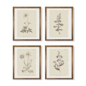 Vintage Botanical Plant Wall Art Prints - Neutral Boho Minimalist Flower Floral Posters Picture for Bathroom, Kitchen, Home Office - Beige French Counry Farmhouse Room Decor - Aesthetic Study Sketch