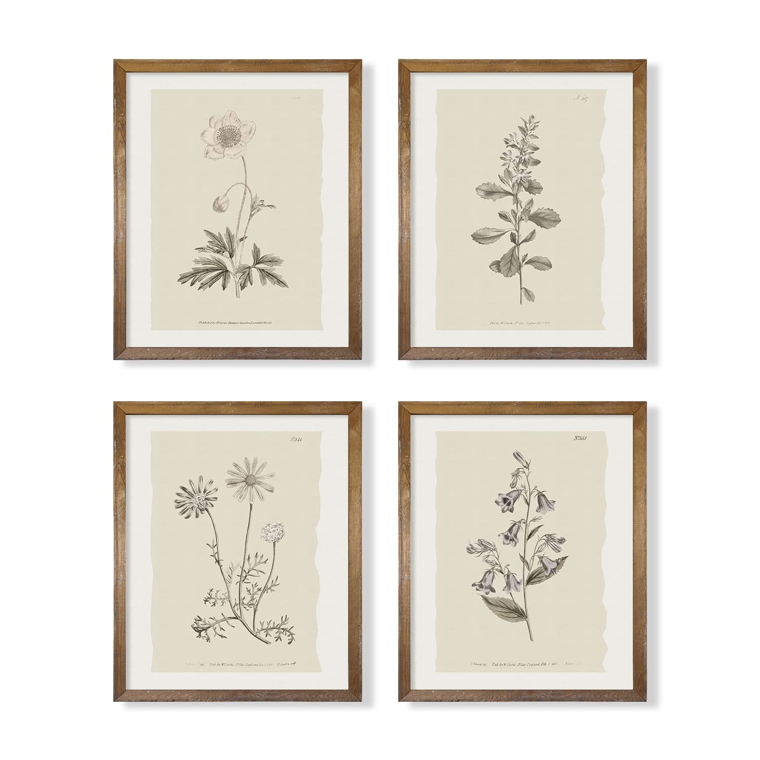 Vintage Botanical Plant Wall Art Prints - Neutral Boho Minimalist Flower Floral Posters Picture for Bathroom, Kitchen, Home Office - Beige French Counry Farmhouse Room Decor - Aesthetic Study Sketch