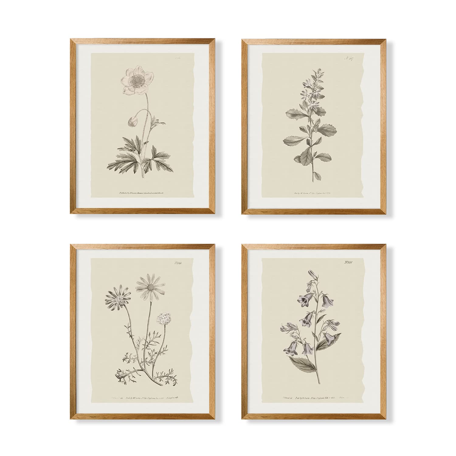 Vintage Botanical Plant Wall Art Prints - Neutral Boho Minimalist Flower Floral Posters Picture for Bathroom, Kitchen, Home Office - Beige French Counry Farmhouse Room Decor - Aesthetic Study Sketch