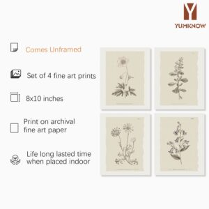 Vintage Botanical Plant Wall Art Prints - Neutral Boho Minimalist Flower Floral Posters Picture for Bathroom, Kitchen, Home Office - Beige French Counry Farmhouse Room Decor - Aesthetic Study Sketch