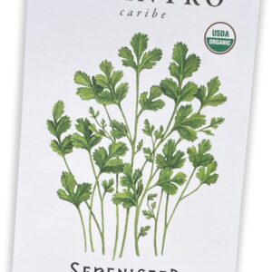 Sereniseed Certified Organic Cilantro Seeds (100 Seeds) – 100% Non GMO, Open Pollinated – Grow Guide