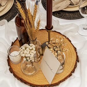 Set of (10) 12-13 inch Wood Slices for centerpieces! Wood Slice centerpieces, Wood Rounds, Tree Slices (12 inch)