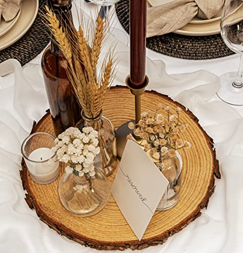 Set of (10) 12-13 inch Wood Slices for centerpieces! Wood Slice centerpieces, Wood Rounds, Tree Slices (12 inch)