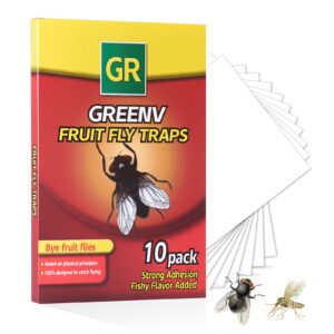 greenv fruit fly trap for indoors 10pack fly trap indoor,sticky gnat traps fruit fly killer for housefly,mosquitoes, spiders, ants, plants, white