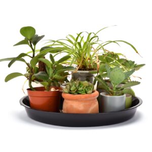 GRESPRI 18 Inches Sturdy Black Plant Saucers 6 Packs Heavy-Duty Large Plant Trays, Durable Plant Pot Containers, Plastic Plant Drip Trays for Indoor/Outdoor Plants. (16.2 inches in Base)