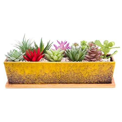 Succulent Pots - Large Succulent Planter Pots with Drainage, 12 Inch Long Rectangle Bonsai Pot with Bamboo Tray Shallow Ceramic Cactus Flower Planter Window Box for Home Garden Decor (Yellow)