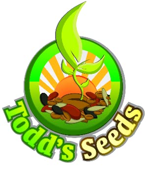 Todd's Seeds Sprouting Seed Mix; Broccoli, Radish, Alfalfa, Non-GMO, Chemical Free, High Germination (1/4 Pound)