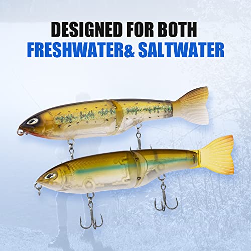 CHA CHA Glide (Bait) Fishing Lures Animated Segmented Swimbait Unique Swimming Lifelike Design