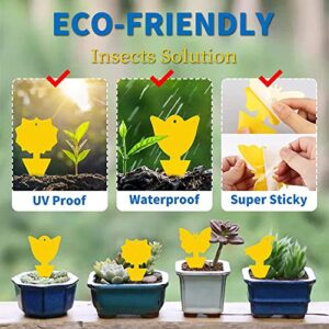 Wizpesty Fruit Fly Traps for Indoors,20pcs Yellow Sticky Fly Traps,Gnat Traps,Bugs Catcher for House Indoor and Outdoor, Bonus 4 Fly Paper Tubes