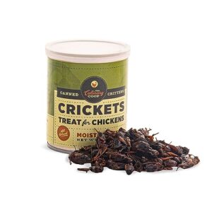 fluker's culinary coop canned crickets chicken treat, all-natural and packed with protein, 2.75oz