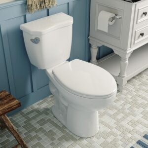 deervalley dv-2f52531 dynasty two-piece elongated toilet 1.28 gpf siphonic flush white ada comfort height bathroom toilet (toilet seat included)(water efficient)