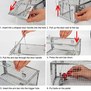 2 Pack Humane Rat Traps, Live Small Mouse Traps Catch and Release for Indoor Outdoor, Small Animals Traps, Easy to use, Pet Safe Medium Size ( 10.6"x 5.5"x 4.5" )