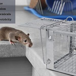 2 Pack Humane Rat Traps, Live Small Mouse Traps Catch and Release for Indoor Outdoor, Small Animals Traps, Easy to use, Pet Safe Medium Size ( 10.6"x 5.5"x 4.5" )