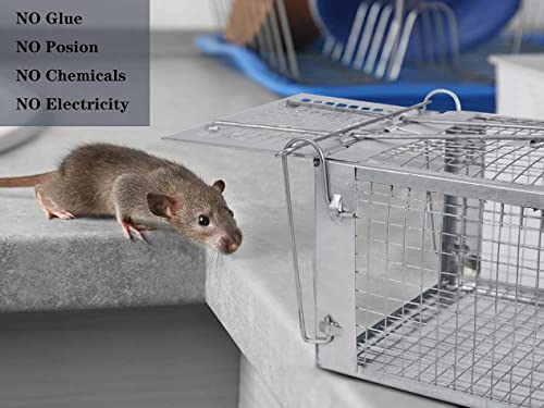 2 Pack Humane Rat Traps, Live Small Mouse Traps Catch and Release for Indoor Outdoor, Small Animals Traps, Easy to use, Pet Safe Medium Size ( 10.6"x 5.5"x 4.5" )