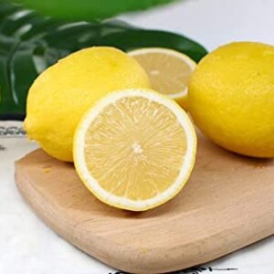 Lemon Seeds for Planting - 50 Seeds, Non-GMO Heirloom and Organic High Survival Rate Lemon Tree Seeds Planting for Home Garden