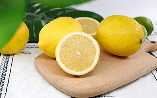 Lemon Seeds for Planting - 50 Seeds, Non-GMO Heirloom and Organic High Survival Rate Lemon Tree Seeds Planting for Home Garden