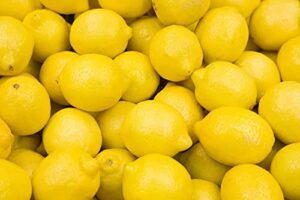 lemon seeds for planting - 50 seeds, non-gmo heirloom and organic high survival rate lemon tree seeds planting for home garden