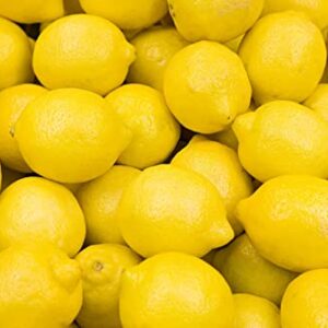 Lemon Seeds for Planting - 50 Seeds, Non-GMO Heirloom and Organic High Survival Rate Lemon Tree Seeds Planting for Home Garden