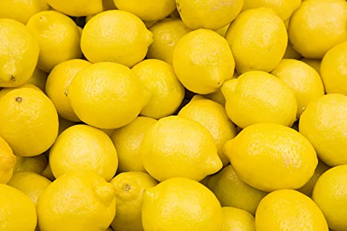 Lemon Seeds for Planting - 50 Seeds, Non-GMO Heirloom and Organic High Survival Rate Lemon Tree Seeds Planting for Home Garden