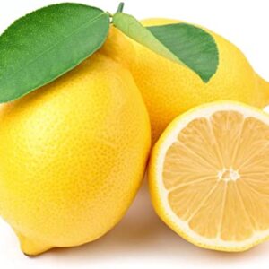 Lemon Seeds for Planting - 50 Seeds, Non-GMO Heirloom and Organic High Survival Rate Lemon Tree Seeds Planting for Home Garden