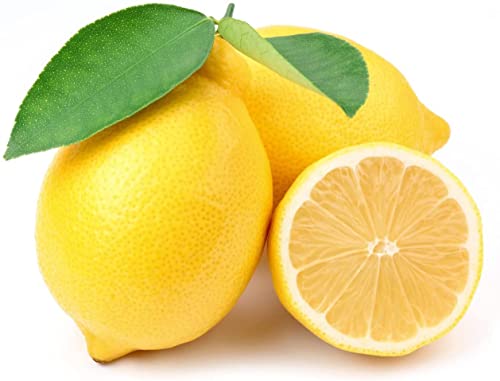 Lemon Seeds for Planting - 50 Seeds, Non-GMO Heirloom and Organic High Survival Rate Lemon Tree Seeds Planting for Home Garden