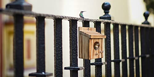 Humming Bird Houses for Outdoor Hanging Small Bird Nesting Box - Wood Nest for Robin, Hummingbird, Parakeet, Bluebird - Perch House for Outdoors Birdhouse Birds - Made of Pine Wood