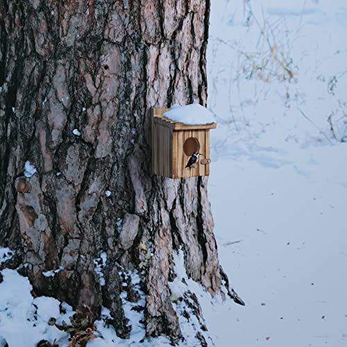 Humming Bird Houses for Outdoor Hanging Small Bird Nesting Box - Wood Nest for Robin, Hummingbird, Parakeet, Bluebird - Perch House for Outdoors Birdhouse Birds - Made of Pine Wood