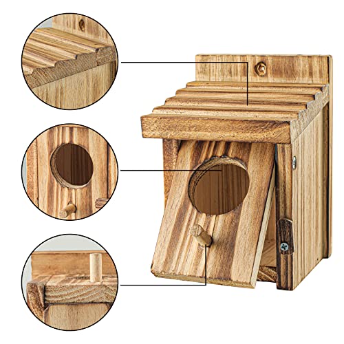 Humming Bird Houses for Outdoor Hanging Small Bird Nesting Box - Wood Nest for Robin, Hummingbird, Parakeet, Bluebird - Perch House for Outdoors Birdhouse Birds - Made of Pine Wood