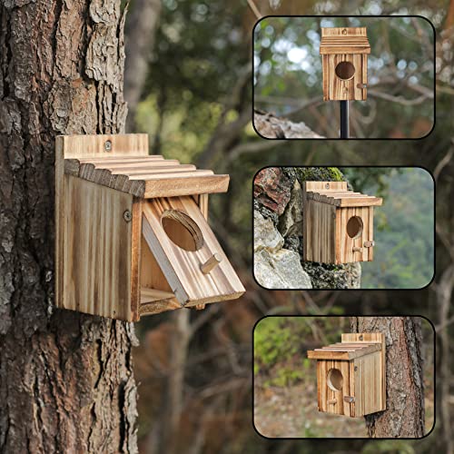 Humming Bird Houses for Outdoor Hanging Small Bird Nesting Box - Wood Nest for Robin, Hummingbird, Parakeet, Bluebird - Perch House for Outdoors Birdhouse Birds - Made of Pine Wood