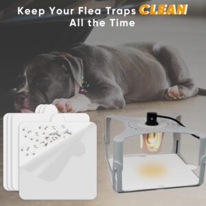 15 PCS 6" Flea Trap Refills Compatible with Terro T230 T231 Indoor Electric Flea Light Flea Trap and Flea Killer, Flea Trap Refill Discs Replacement Glue Boards