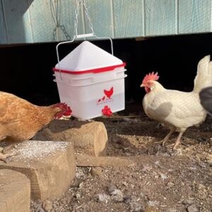 RentACoop Chick2Chicken 10lb Feeder & 2 Gal Waterer Set with Gravity Feed Refill & Auto-Fill Cups - BPA-Free Food & Water Buckets for Up to 20 Chicks or 12 Adult Chickens