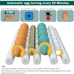 Hethya Pro16 Eggs incubators for Hatching Eggs Fahrenheit with Automatic Turner Chicken Incubators Farm Poultry Incubators