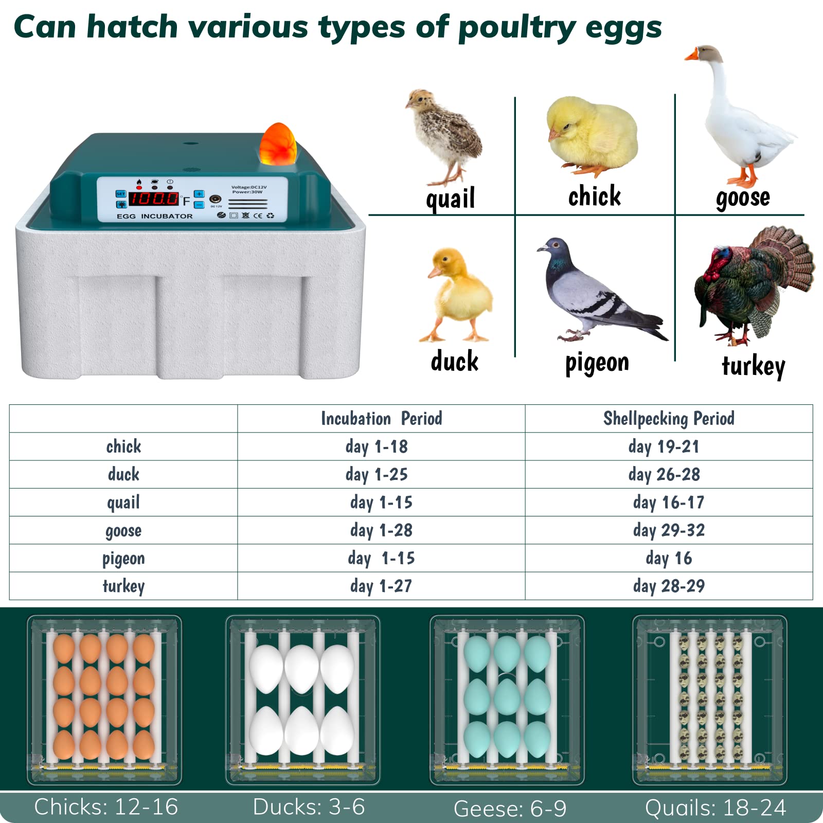 Hethya Pro16 Eggs incubators for Hatching Eggs Fahrenheit with Automatic Turner Chicken Incubators Farm Poultry Incubators