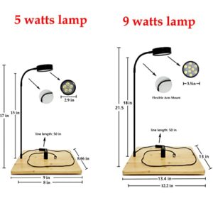 AREPK Aquarium Light Full Spectrum LED, for Under 3 Gallon Fish Tank, Light with Timer Auto On/Off, Betta Fish Tank,Indoor Plant Growth, Potted Plants, Succulent, Miniature Gardening Landscape (5)