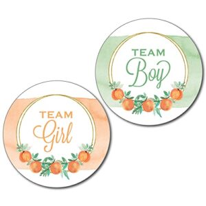 36 2.5-inch sweet peach gender reveal party team boy and girl stickers