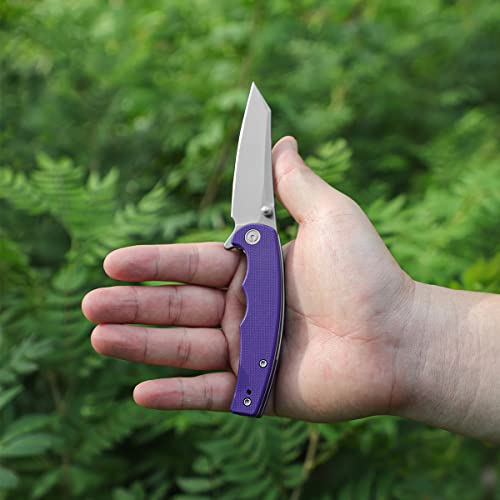 CIVIVI P87 Folder EDC Knife, Kaila Cumings 2.9-in Nitro-V Silver Bead Blasted Blade Reverse Tanto, G10 Handle with A Thumb Stud Liner Lock Folding Pocket Knife for Everyday Carry (Purple)